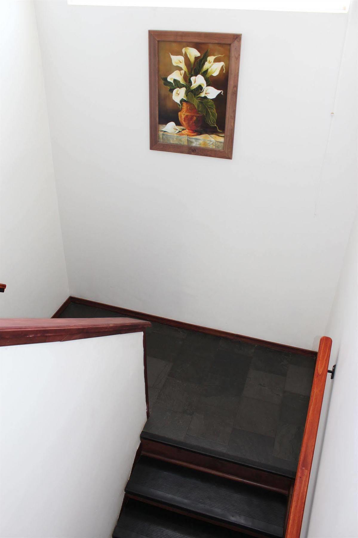 Hotel Bello Temuco Ngoại thất bức ảnh